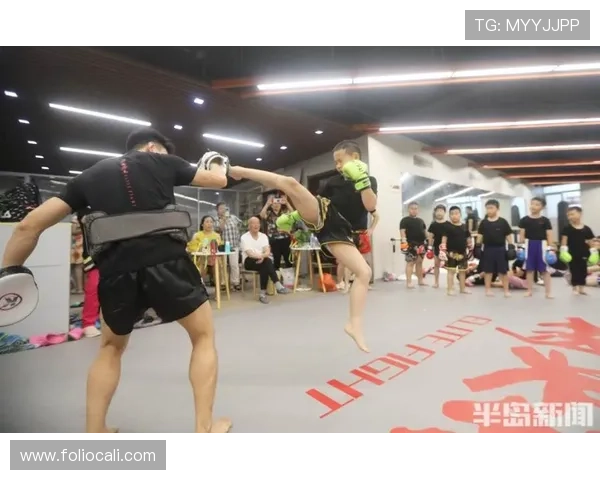 半岛体育入口多平台登录攻略，满足不同设备用户的使用需求