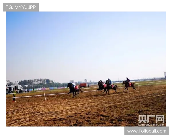 飞鲸体育引领青少年体育新风尚，打造多元化体育培训新平台